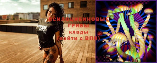 2c-b Верея