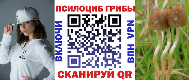 гидра как войти  Высоковск  Галлюциногенные грибы прущие грибы 